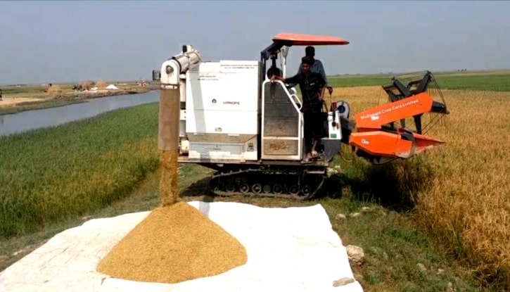 নেত্রকোনায় ধানের ন্যায্যমূল্য না পাওযায় কৃষকদের মাঝে হতাশা